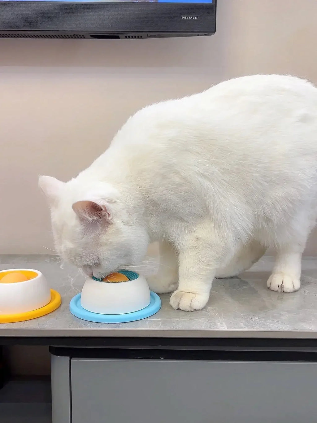 Tier-Leckmatte, Anti-Schling-Futternapf, Interaktives Beschäftigungsspielzeug, Rutschfeste Käfig-Unterlage für Hunde und Katzen