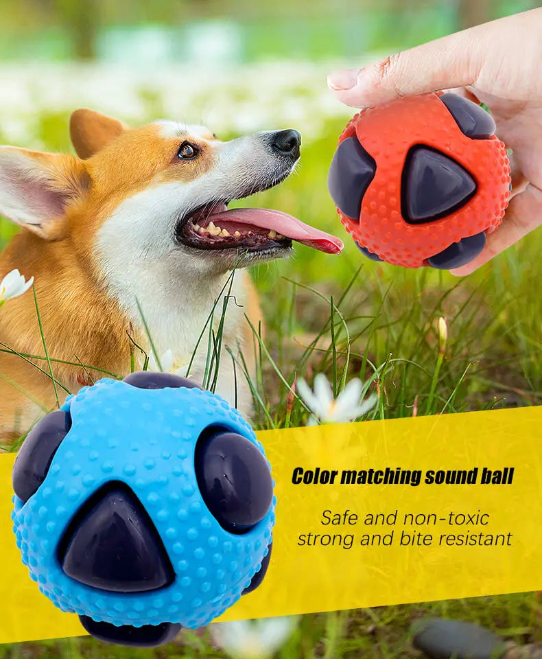 Haustier TPR Spielzeugball Interaktion Haustiere Langeweile vertreiben Bissfestigkeit Kleiner Mittlerer Hund Beiß- Schlaf- Entlüftungsball Blitz