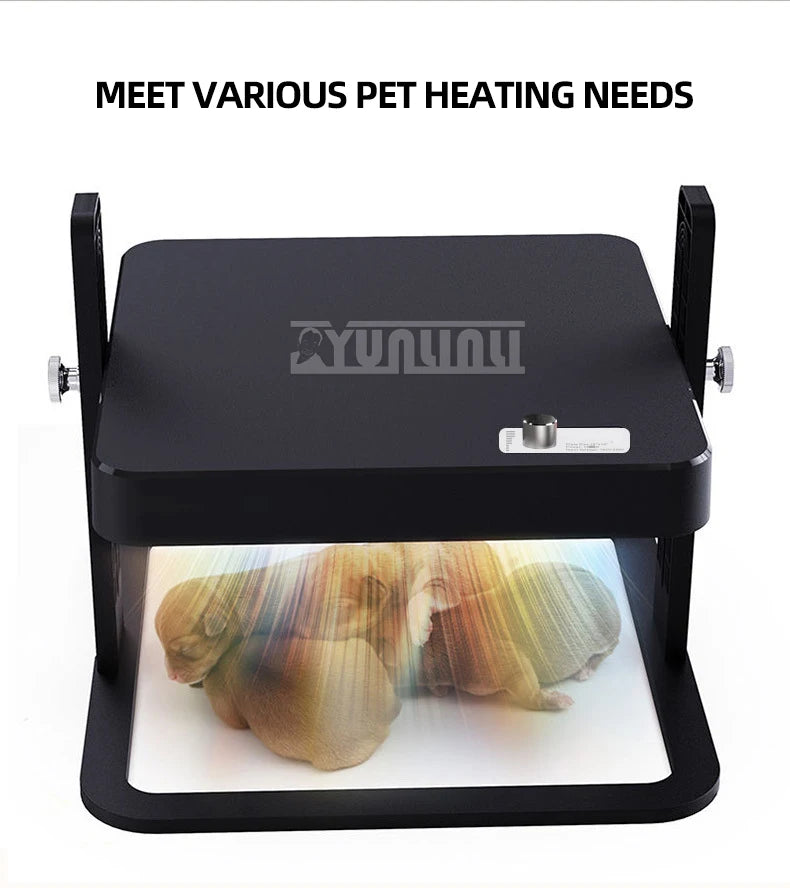 Plaque chauffante pour animaux de compagnie à température réglable, radiateur de conception pour poulets, chiens, chats, oiseaux 2025 NOUVEAU