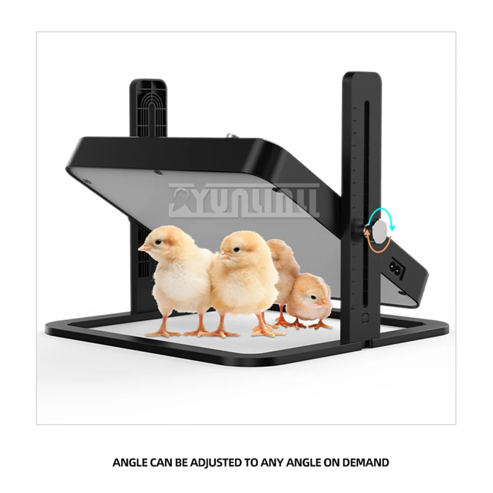 Plaque chauffante pour animaux de compagnie à température réglable, radiateur de conception pour poulets, chiens, chats, oiseaux 2025 NOUVEAU