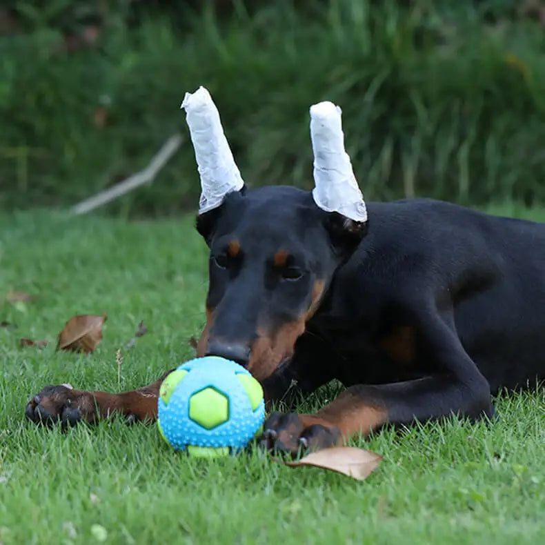 Haustier TPR Spielzeugball Interaktion Haustiere Langeweile vertreiben Bissfestigkeit Kleiner Mittlerer Hund Beiß- Schlaf- Entlüftungsball Blitz