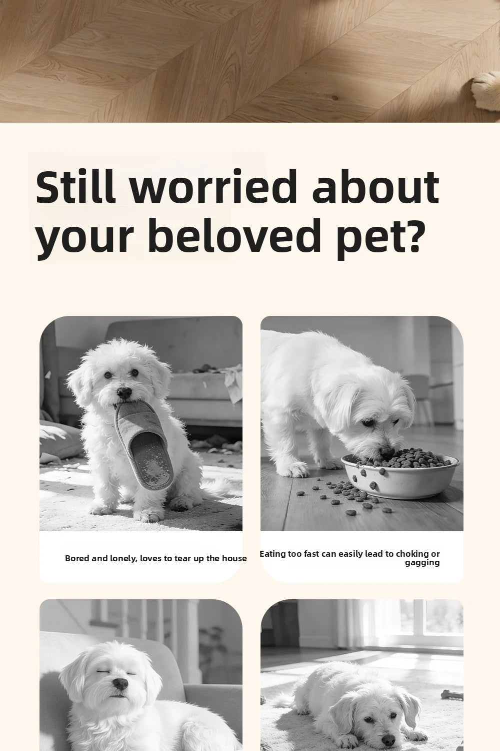 Jouet Distributeur de Friandises Interactif pour Animaux : Conçu pour l'Entraînement de l'IQ des Chiens de Petite à Moyenne Taille, Nouveauté.