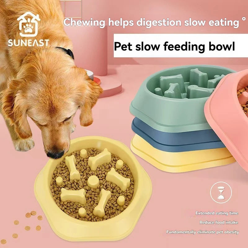 Gamelle pour animaux de compagnie, respectueuse de l'environnement