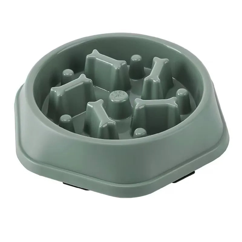 Gamelle pour animaux de compagnie, respectueuse de l'environnement