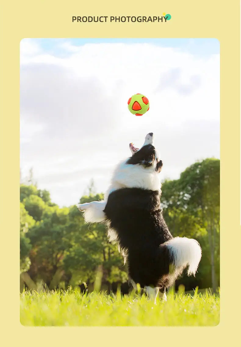 Haustier TPR Spielzeugball Interaktion Haustiere Langeweile vertreiben Bissfestigkeit Kleiner Mittlerer Hund Beiß- Schlaf- Entlüftungsball Blitz