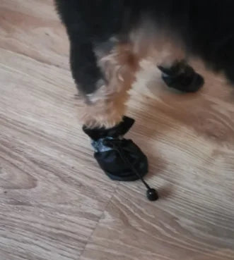 Lot de 4 Chaussures imperméables antidérapantes pour chiens et chats de petite taille, Bottes de pluie, Chaussures pour chiots, Chaussons pour animaux de compagnie, Accessoires pour pattes d'animaux