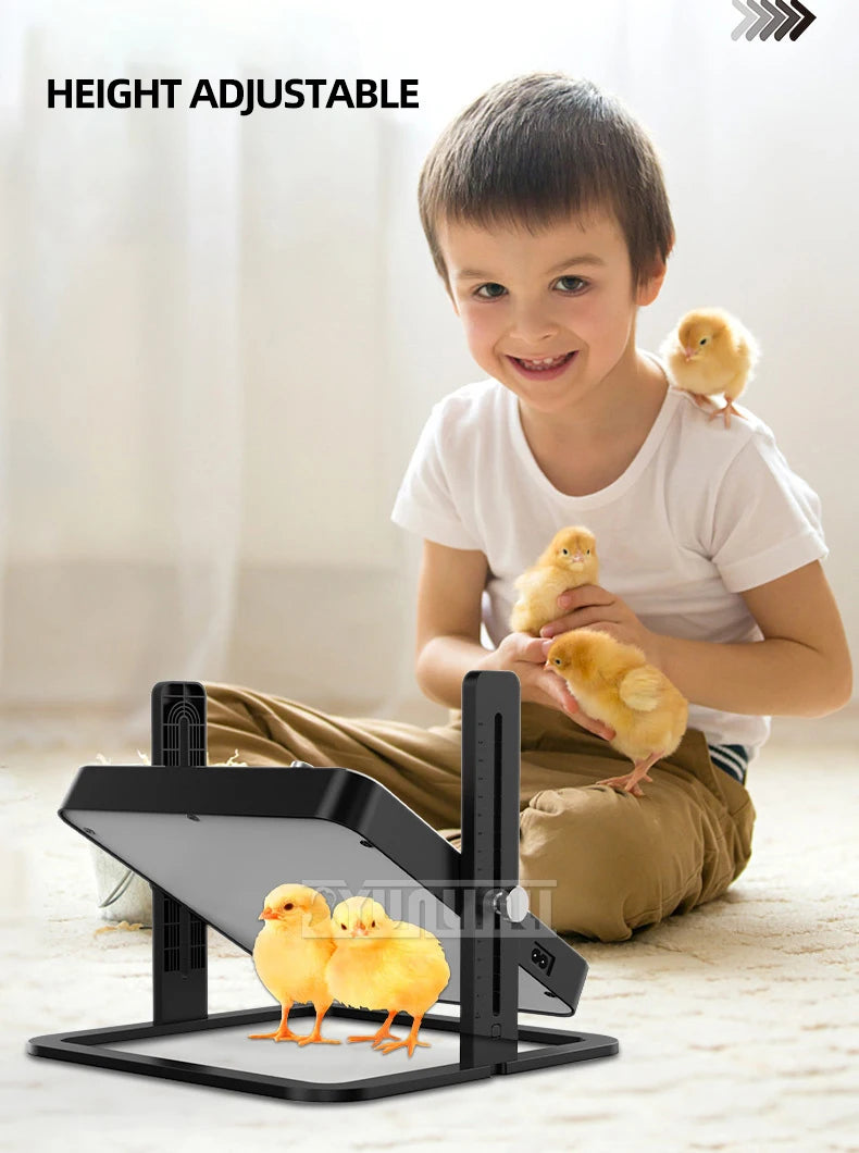 Plaque chauffante pour animaux de compagnie à température réglable, radiateur de conception pour poulets, chiens, chats, oiseaux 2025 NOUVEAU