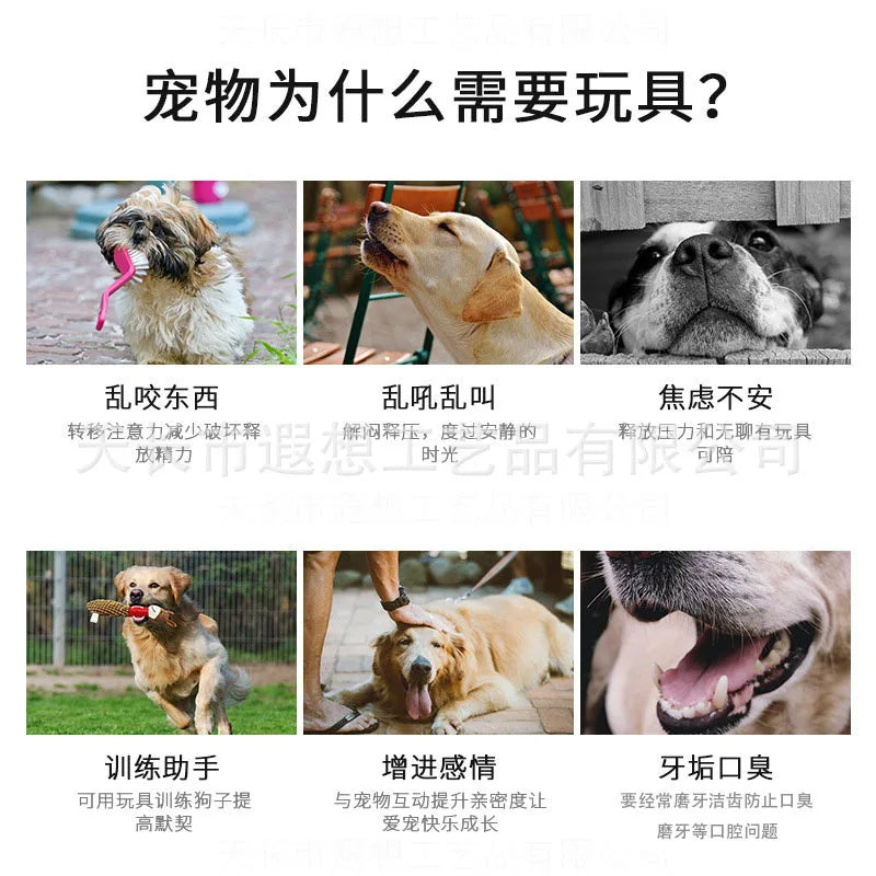 Pet Plush Sound Toy for Cat and Dog Training, Interactive Toy for Dogs to Chew and Grind Their Teeth, Amusing Toy for Cats
