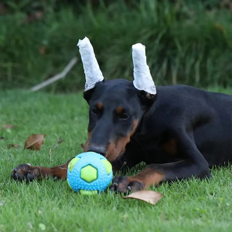 Haustier TPR Spielzeugball Interaktion Haustiere Langeweile vertreiben Bissfestigkeit Kleiner Mittlerer Hund Beiß- Schlaf- Entlüftungsball Blitz
