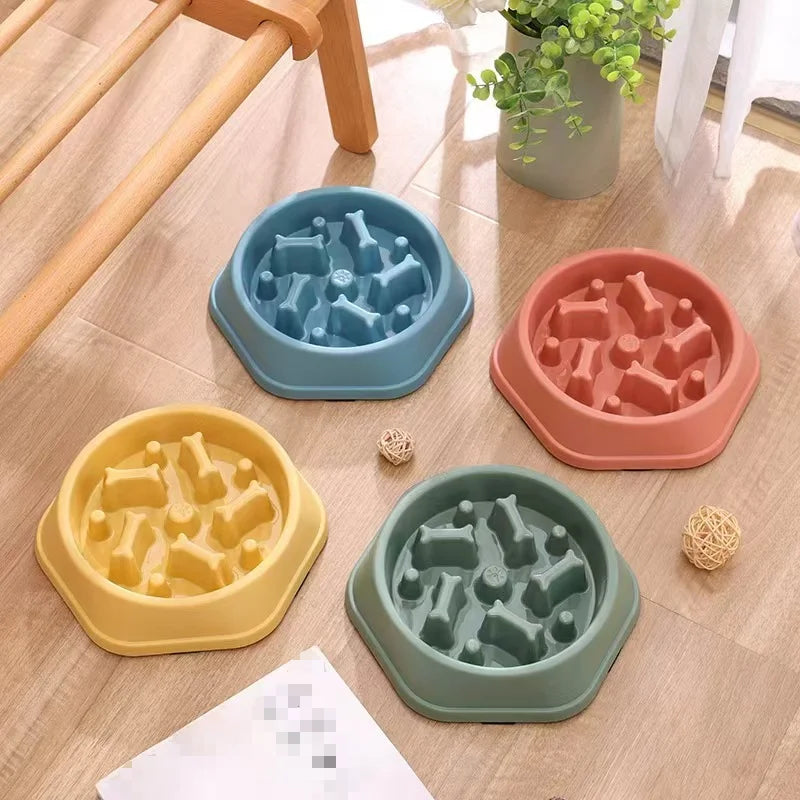 Gamelle pour animaux de compagnie, respectueuse de l'environnement