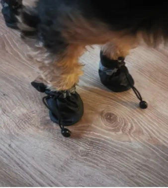 Lot de 4 Chaussures imperméables antidérapantes pour chiens et chats de petite taille, Bottes de pluie, Chaussures pour chiots, Chaussons pour animaux de compagnie, Accessoires pour pattes d'animaux
