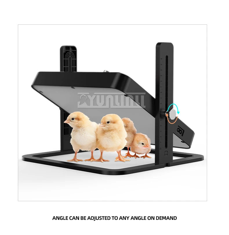 Plaque chauffante pour animaux de compagnie à température réglable, radiateur de conception pour poulets, chiens, chats, oiseaux 2025 NOUVEAU